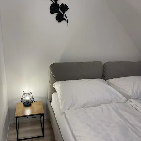 Apartmanovy Dum Jansky Sen Janske Lazne Exterior photo